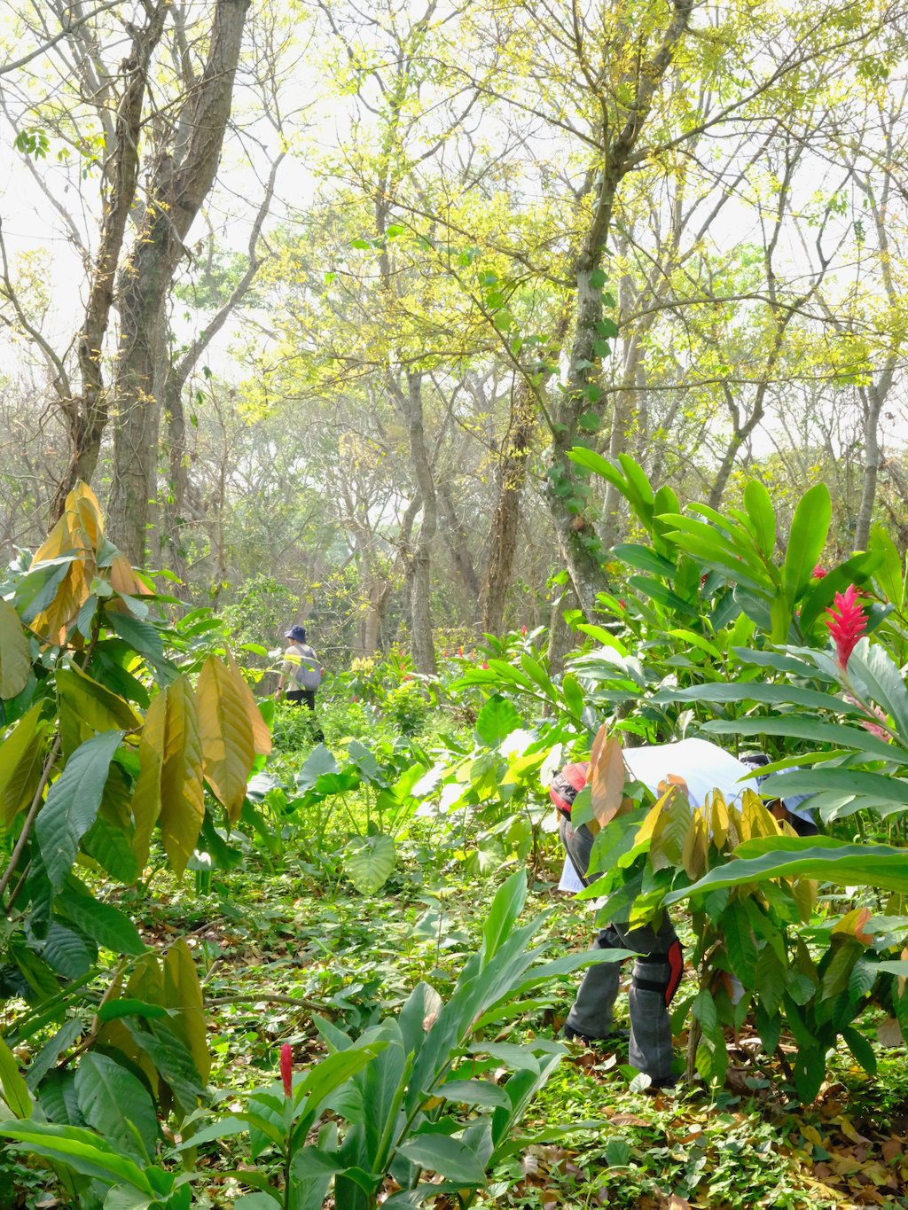 Exploración en la finca de San Rafael