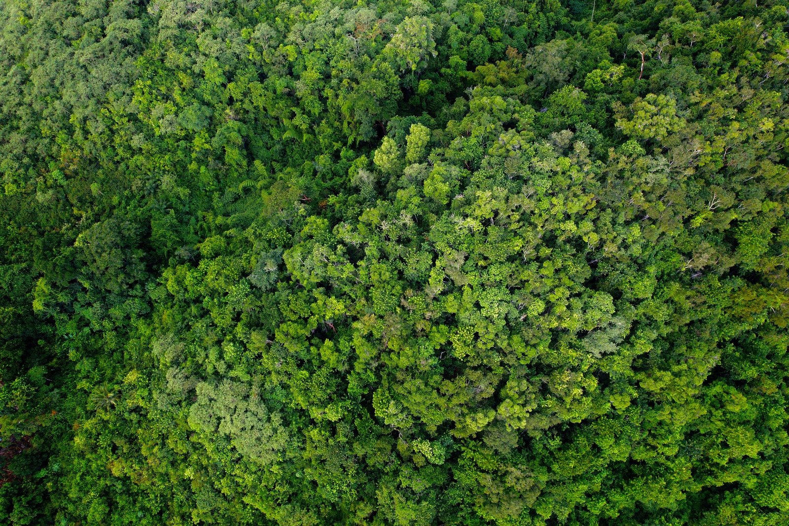 Paisaje de la Reserva