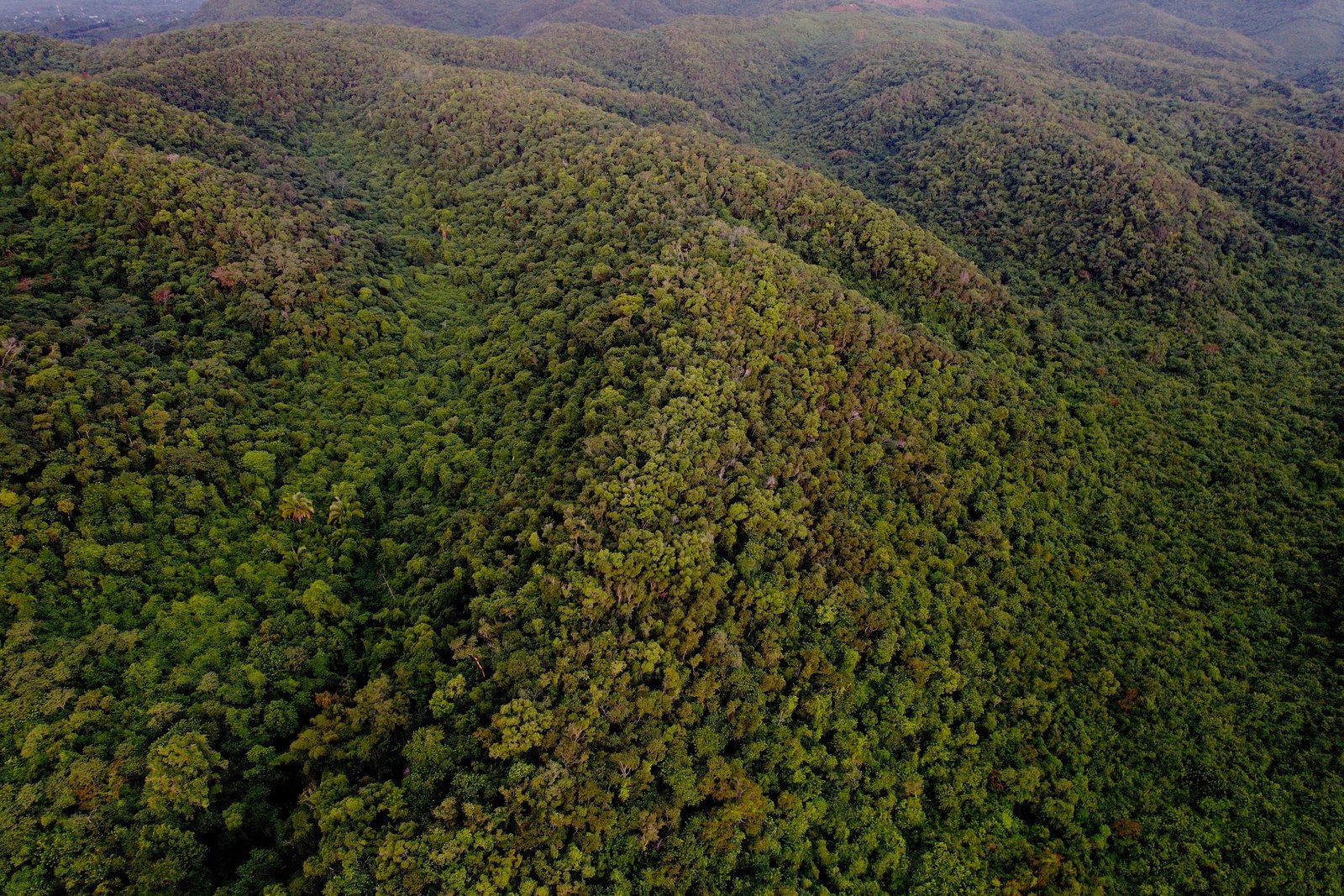 Paisaje de la Reserva