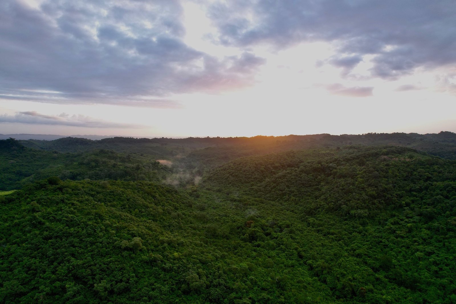 Paisaje de la Reserva