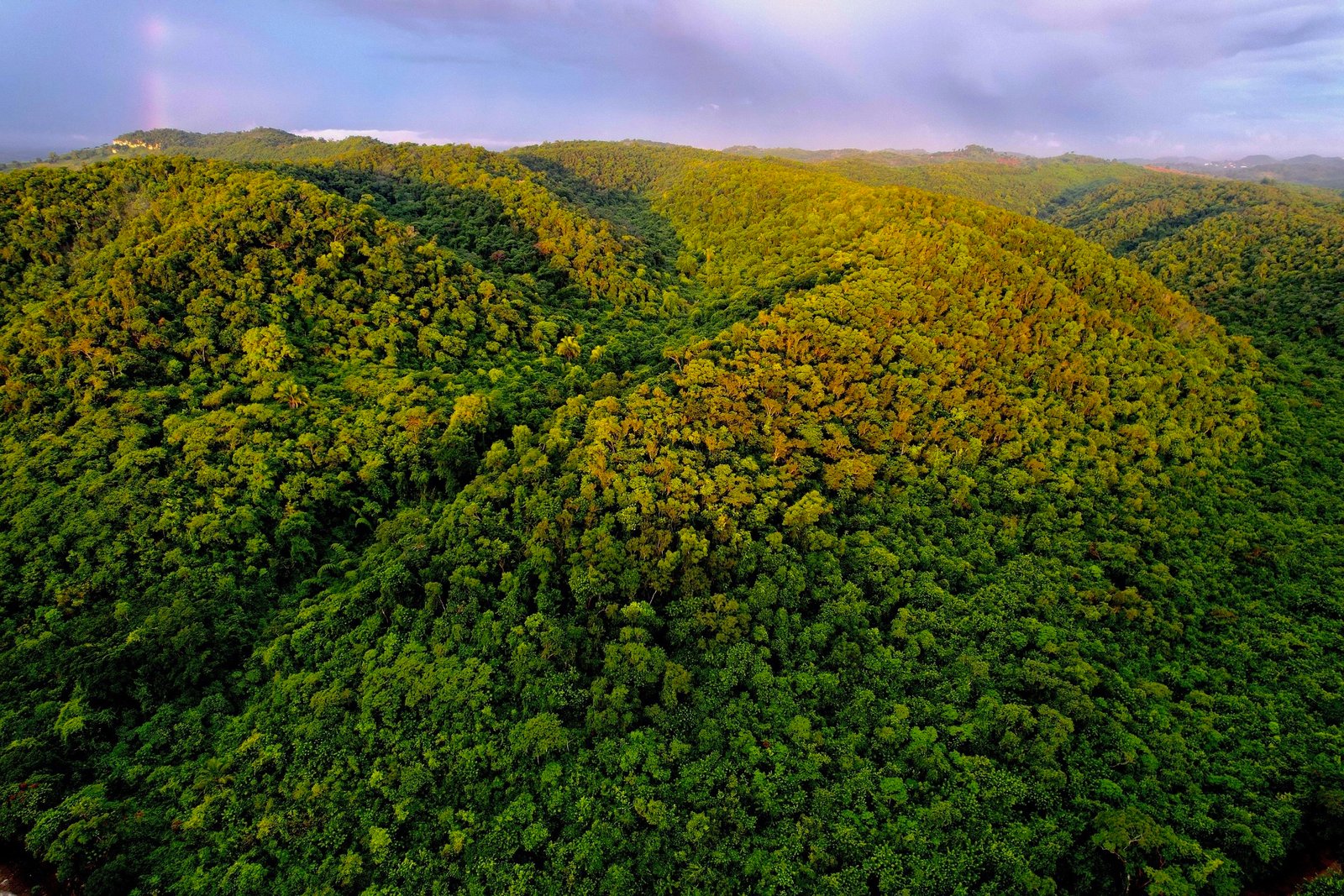 Paisaje de la Reserva